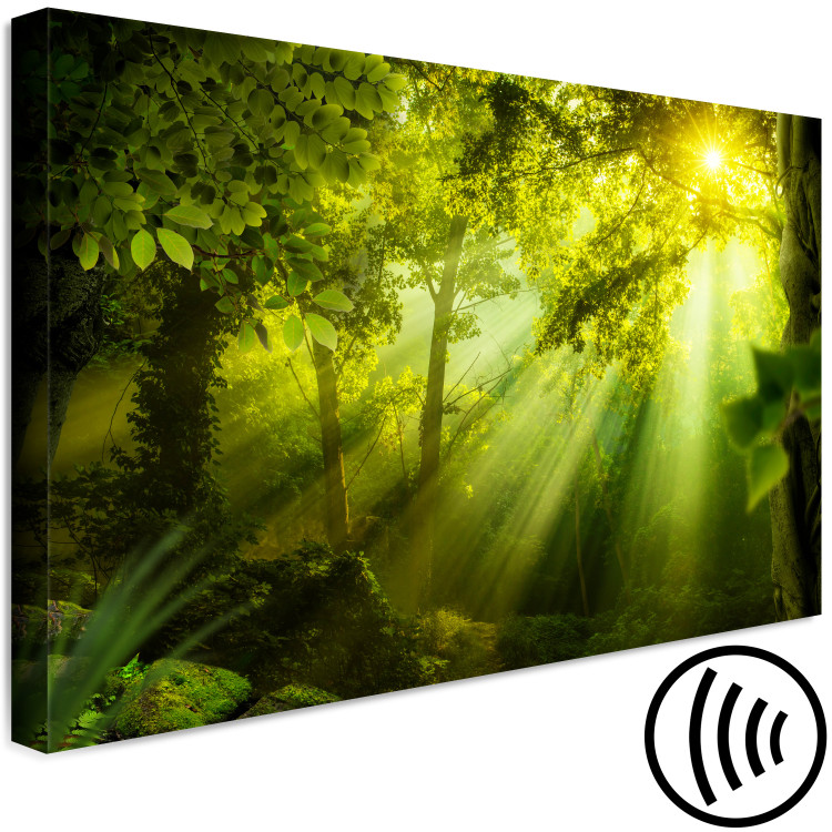 Canvas Art Print In the Sunlight (1-piece) Wide - green forest in sunlight 149658 additionalImage 5