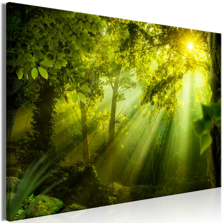 Canvas Art Print In the Sunlight (1-piece) Wide - green forest in sunlight 149658 additionalImage 2