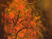 Canvas Art Print Autumn Walk 49858 additionalThumb 3