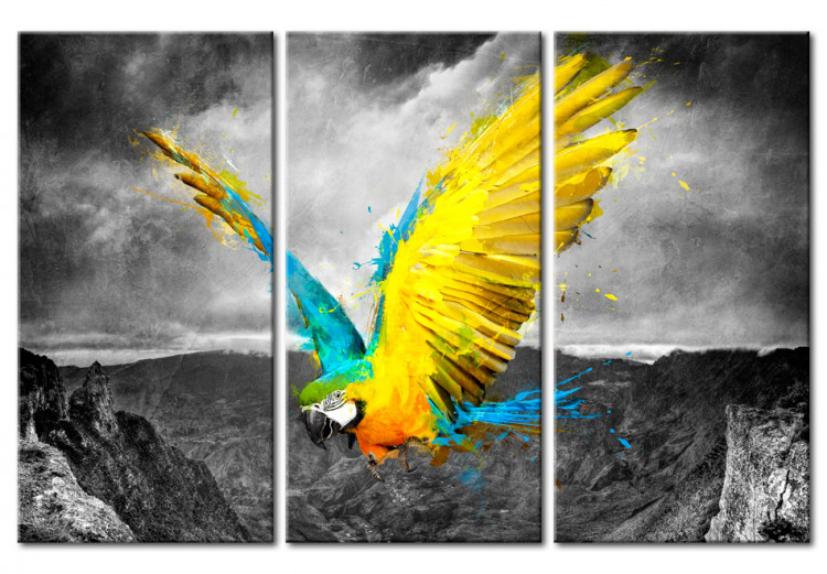 Canvas Art Print Bird-of-paradise 55658
