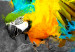 Canvas Art Print Bird-of-paradise 55658 additionalThumb 5