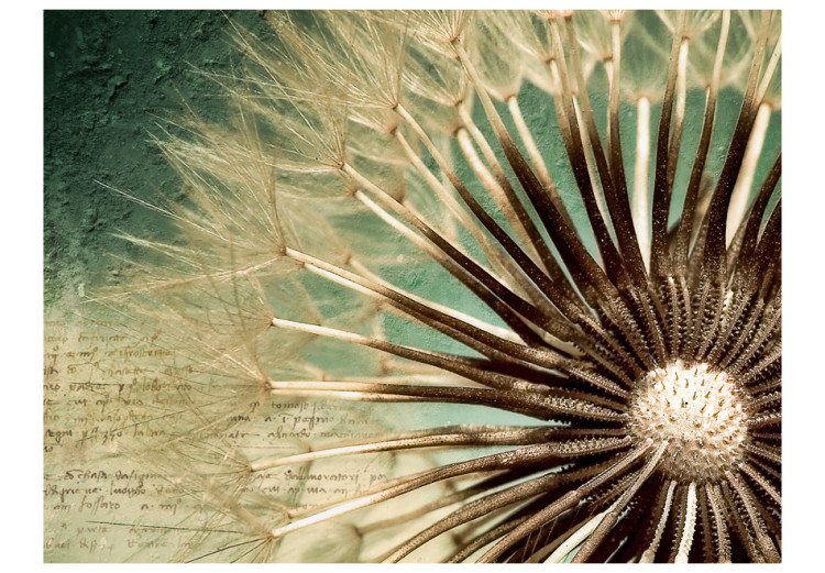 Photo Wallpaper Close-up of a Dandelion - Plant on a Decoupage-style Background with Texts 60358 additionalImage 1