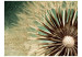 Photo Wallpaper Close-up of a Dandelion - Plant on a Decoupage-style Background with Texts 60358 additionalThumb 1