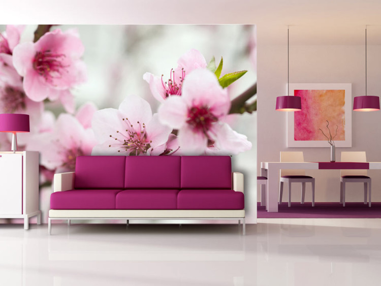 Wall Mural Spring, blooming tree - pink flowers 60658