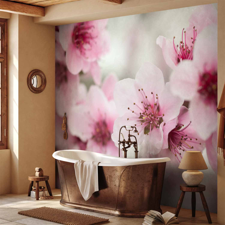 Wall Mural Spring, blooming tree - pink flowers 60658 additionalImage 8