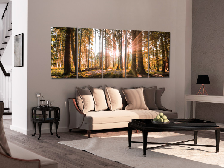 Canvas Print Beauty of Forest Nature (5-piece) - Sunny Landscape of Trees on Canvas 98558 additionalImage 3