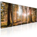 Canvas Print Beauty of Forest Nature (5-piece) - Sunny Landscape of Trees on Canvas 98558 additionalThumb 2