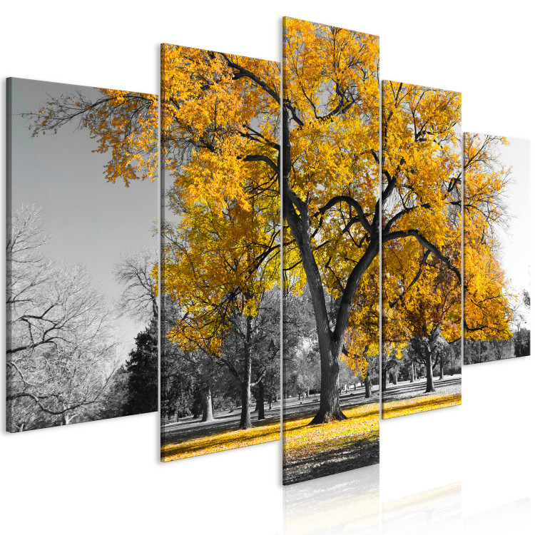Canvas Art Print Autumn in the Park (5 Parts) Wide Gold 122768 additionalImage 2