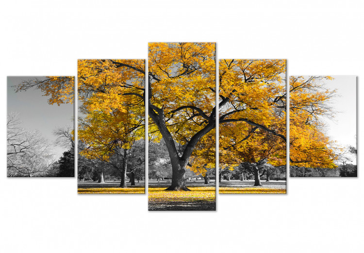 Canvas Art Print Autumn in the Park (5 Parts) Wide Gold 122768