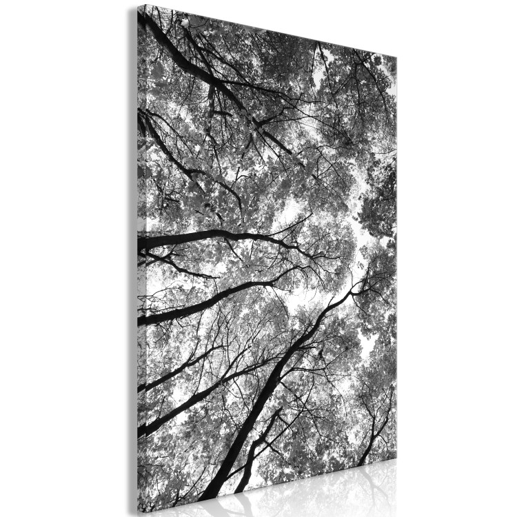 Canvas Print Tree crowns - black and white photography of the forest, trees and sky 123468 additionalImage 2