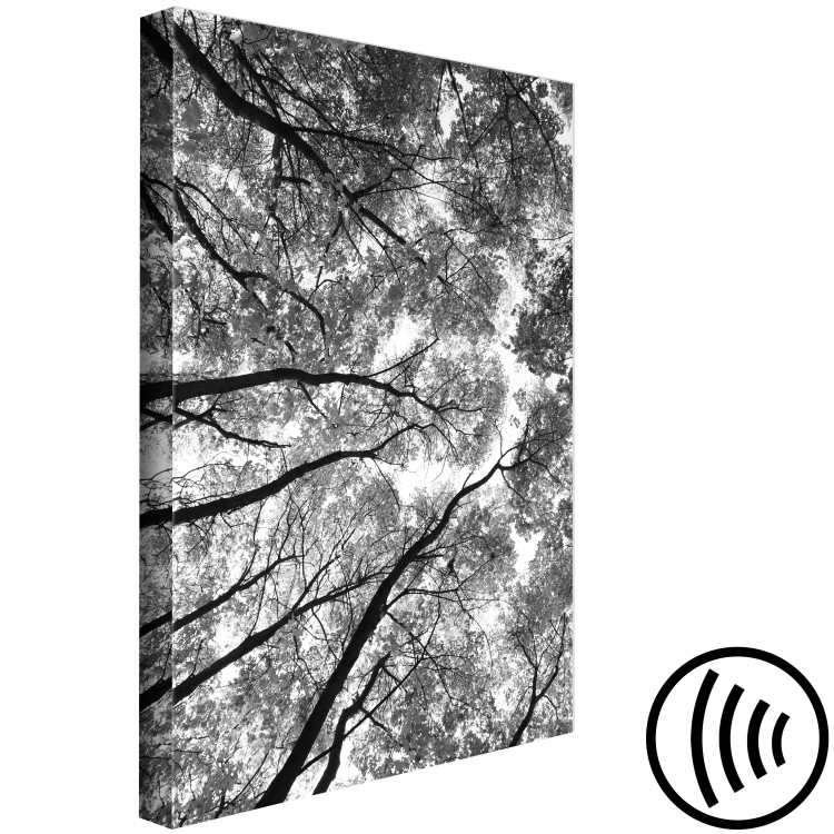 Canvas Print Tree crowns - black and white photography of the forest, trees and sky 123468 additionalImage 6