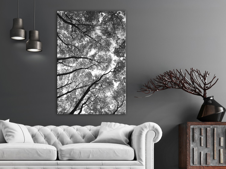 Canvas Print Tree crowns - black and white photography of the forest, trees and sky 123468 additionalImage 3