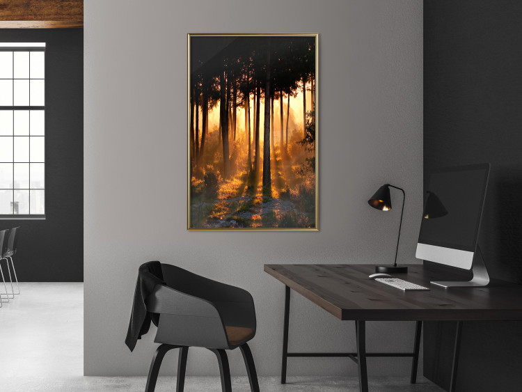 Poster Honeyed Forest - forest landscape with setting sunlight 124968 additionalImage 5
