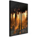 Poster Honeyed Forest - forest landscape with setting sunlight 124968 additionalThumb 12