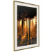 Poster Honeyed Forest - forest landscape with setting sunlight 124968 additionalThumb 2