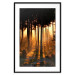 Poster Honeyed Forest - forest landscape with setting sunlight 124968 additionalThumb 17