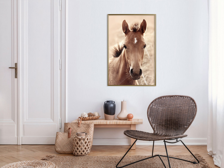 Poster Bright Mane - portrait of a brown animal against a golden nature background 126868 additionalImage 5