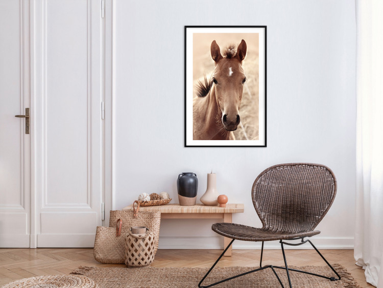 Poster Bright Mane - portrait of a brown animal against a golden nature background 126868 additionalImage 19