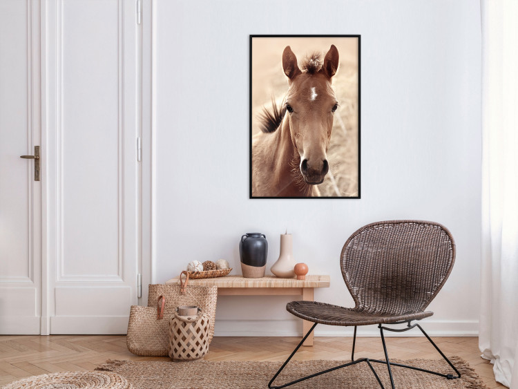 Poster Bright Mane - portrait of a brown animal against a golden nature background 126868 additionalImage 4