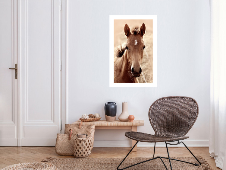 Poster Bright Mane - portrait of a brown animal against a golden nature background 126868 additionalImage 3