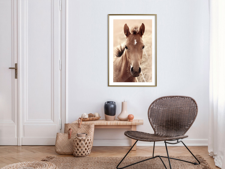 Poster Bright Mane - portrait of a brown animal against a golden nature background 126868 additionalImage 13