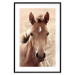 Poster Bright Mane - portrait of a brown animal against a golden nature background 126868 additionalThumb 17
