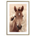 Poster Bright Mane - portrait of a brown animal against a golden nature background 126868 additionalThumb 16