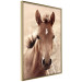 Poster Bright Mane - portrait of a brown animal against a golden nature background 126868 additionalThumb 12