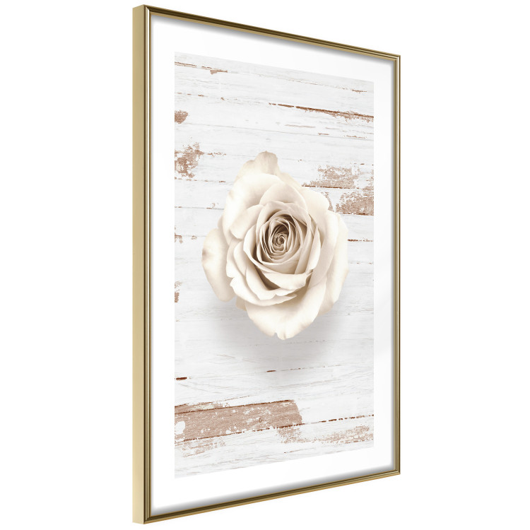 Poster Pastel Whirl - white rose flower on background of light wooden planks 128068 additionalImage 9