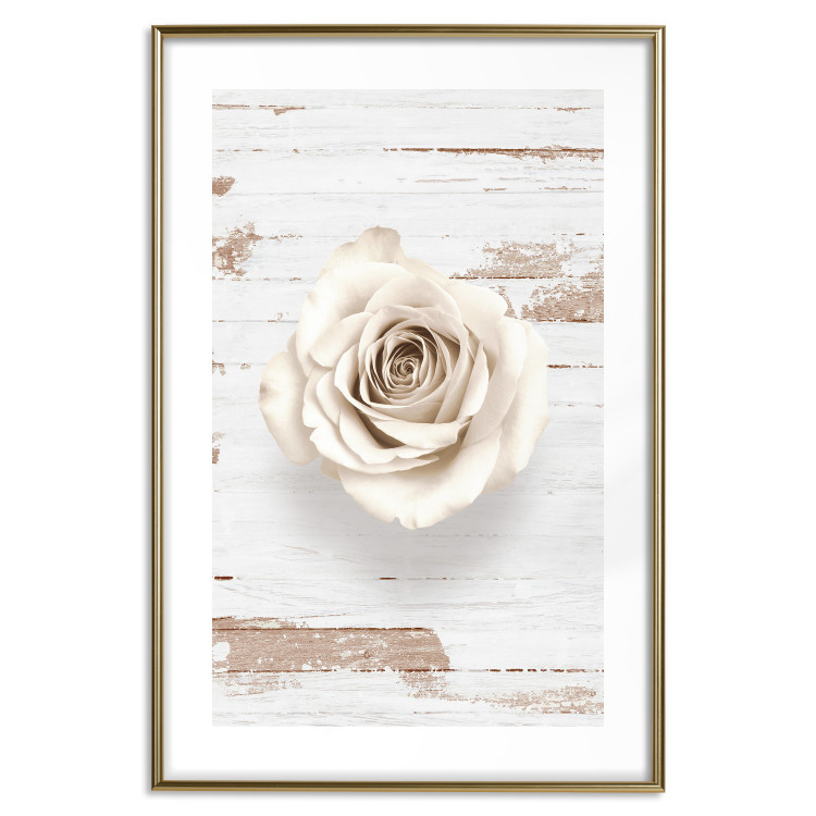 Poster Pastel Whirl - white rose flower on background of light wooden planks 128068 additionalImage 16