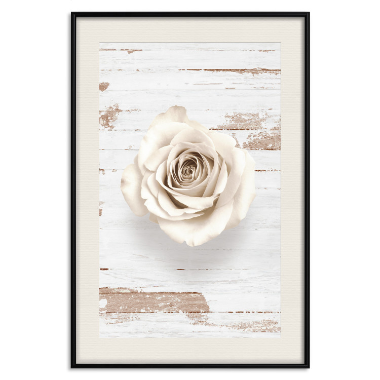 Poster Pastel Whirl - white rose flower on background of light wooden planks 128068 additionalImage 19