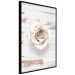 Poster Pastel Whirl - white rose flower on background of light wooden planks 128068 additionalThumb 13