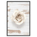 Poster Pastel Whirl - white rose flower on background of light wooden planks 128068 additionalThumb 18