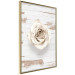 Poster Pastel Whirl - white rose flower on background of light wooden planks 128068 additionalThumb 12