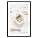 Poster Pastel Whirl - white rose flower on background of light wooden planks 128068 additionalThumb 15