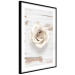 Poster Pastel Whirl - white rose flower on background of light wooden planks 128068 additionalThumb 8