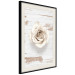 Poster Pastel Whirl - white rose flower on background of light wooden planks 128068 additionalThumb 2