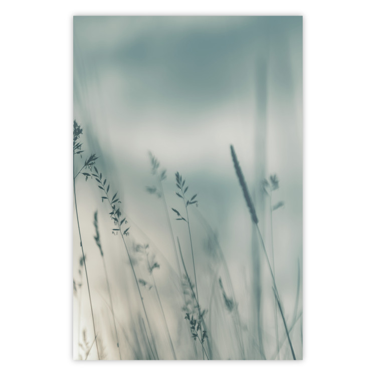 Wall Poster Tall Grass - a landscape of a meadow with tall grass in pastel colors 130768