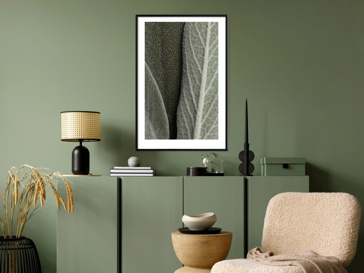 Wall Poster Sage Plant - Close-up of Rough Leaves 150068 additionalImage 15