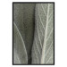 Wall Poster Sage Plant - Close-up of Rough Leaves 150068 additionalThumb 22