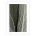 Wall Poster Sage Plant - Close-up of Rough Leaves 150068 additionalThumb 16