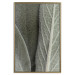 Wall Poster Sage Plant - Close-up of Rough Leaves 150068 additionalThumb 23