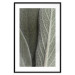 Wall Poster Sage Plant - Close-up of Rough Leaves 150068 additionalThumb 19