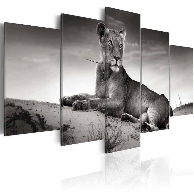 Canvas Lioness in a desert 58668 additionalImage 2