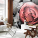Wall Mural Abstract Rose - Background with Pieces of Gray Stone and Red Sphere 60968