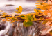 Canvas Print Autumn's Valley 90568 additionalThumb 5