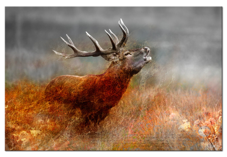 Canvas Print Roaring Deer 105778