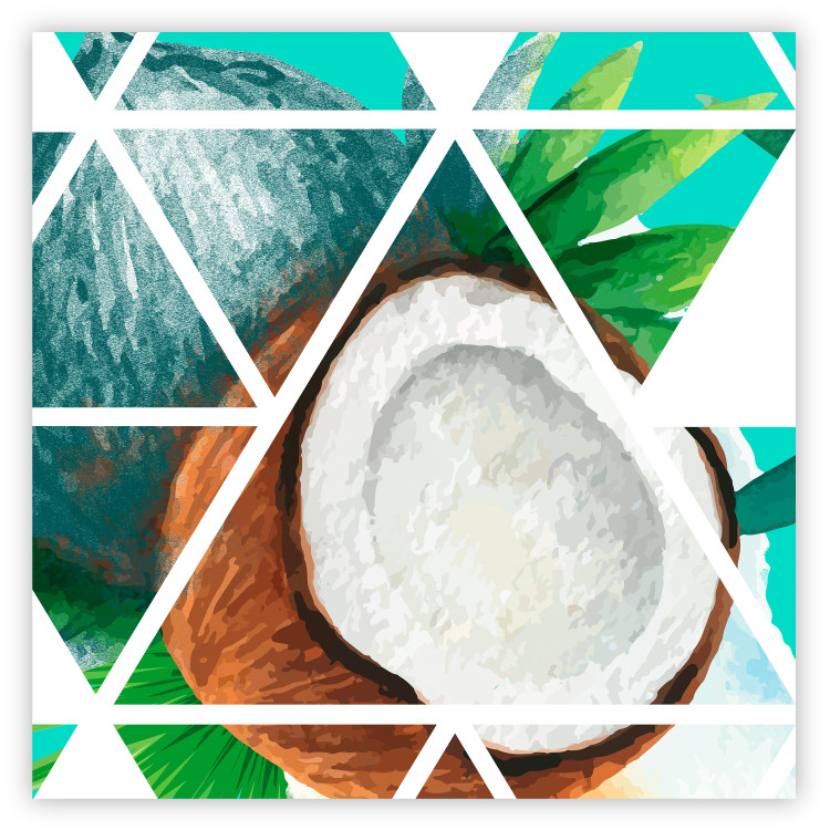 Poster Coconut (Square) - geometric abstraction with a tropical fruit 114578