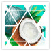 Poster Coconut (Square) - geometric abstraction with a tropical fruit 114578 additionalThumb 19