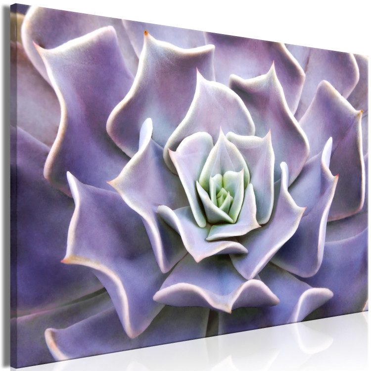 Canvas Art Print Purple Bloom (1-part) - Cactus Flower in Subtle Hue 117178 additionalImage 2